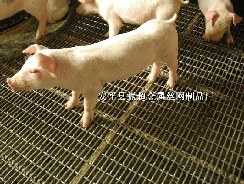 ܈䓽zW,܈W,䓽ziWhttp://www.xaxb8.com